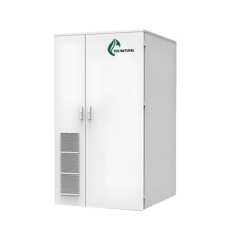 Pemesanan 30kW 55kWhh Outdoor Industrial Energy Storage Cabinet Lithium Battery Storage Cabinet